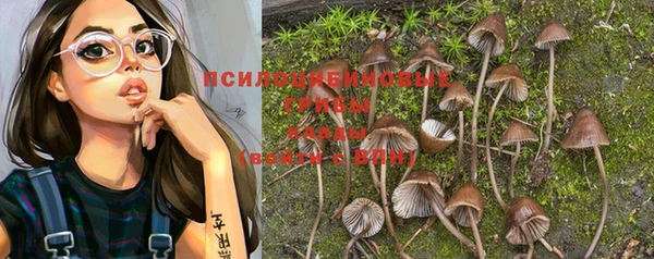 бошки Балахна