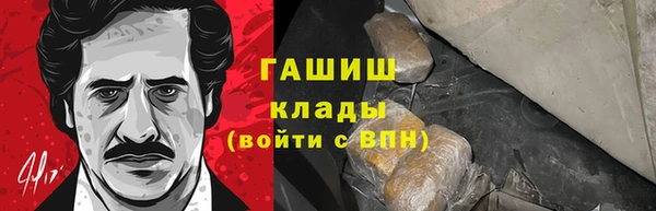 индика Балабаново