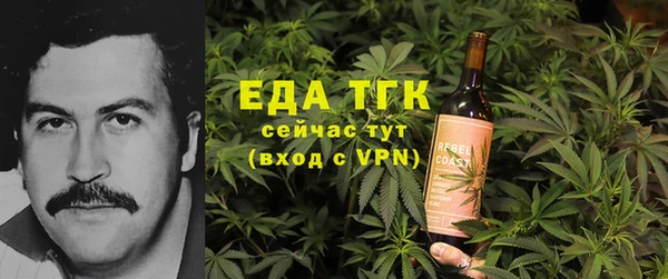 индика Балабаново
