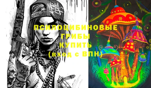 индика Балабаново