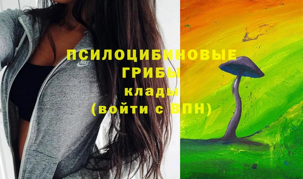 индика Балабаново