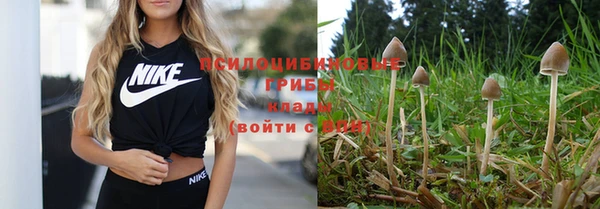 бошки Баксан