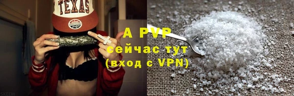 индика Балабаново