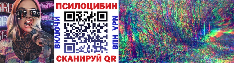 закладка  Ясногорск  Галлюциногенные грибы прущие грибы 